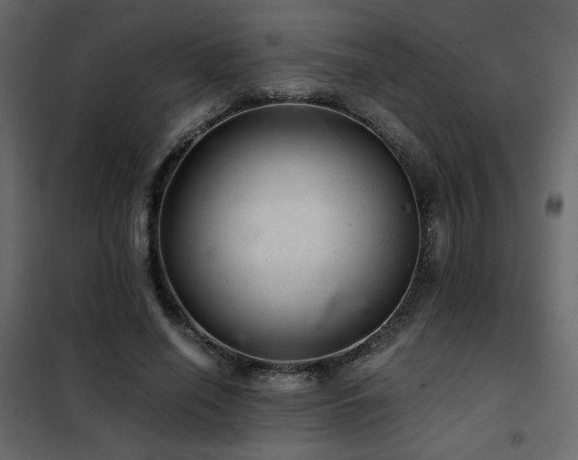 X0000102520638200808081428