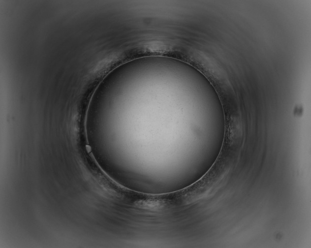 X0000102520639200808081428