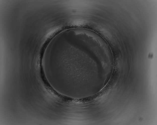 X0000102520640200808081428