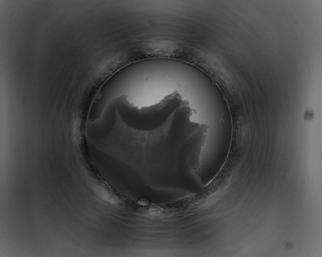 X0000102520641200808081428