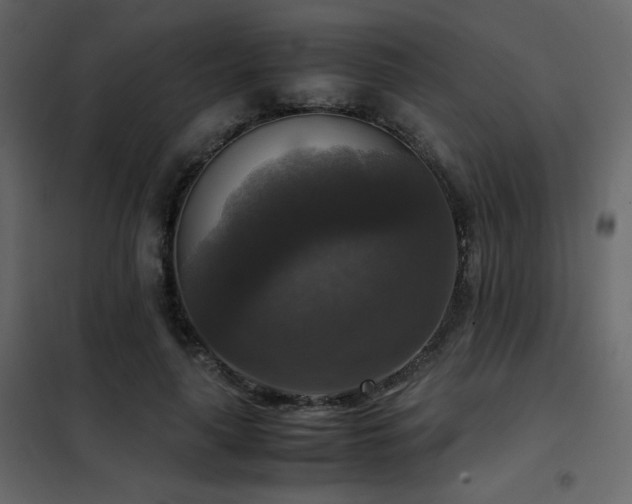 X0000102520643200808081428