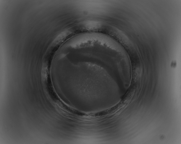 X0000102520644200808081428