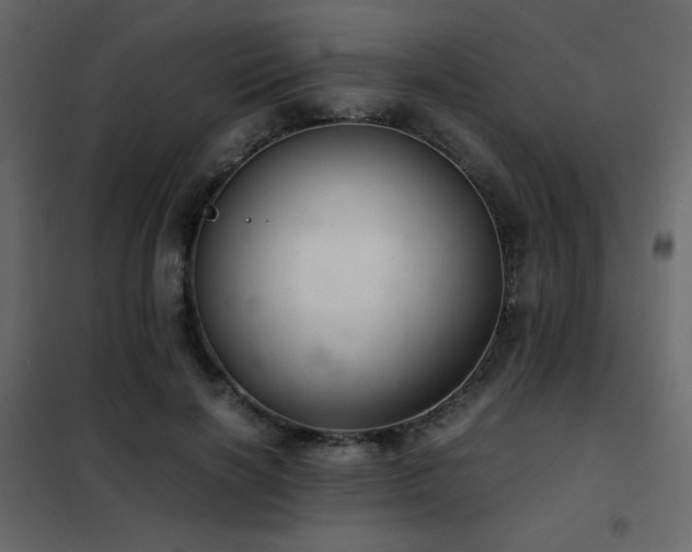 X0000102520646200808081428