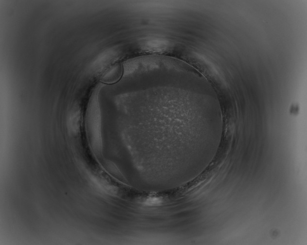 X0000102520647200808081428