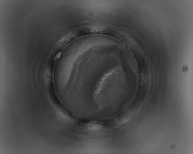 X0000102520648200808081428