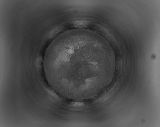 X0000102520649200808081428