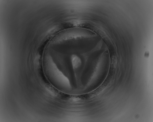 X0000102520650200808081428