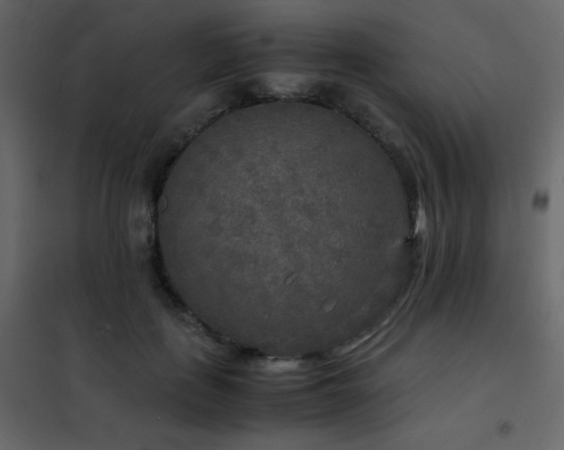 X0000102520651200808081428