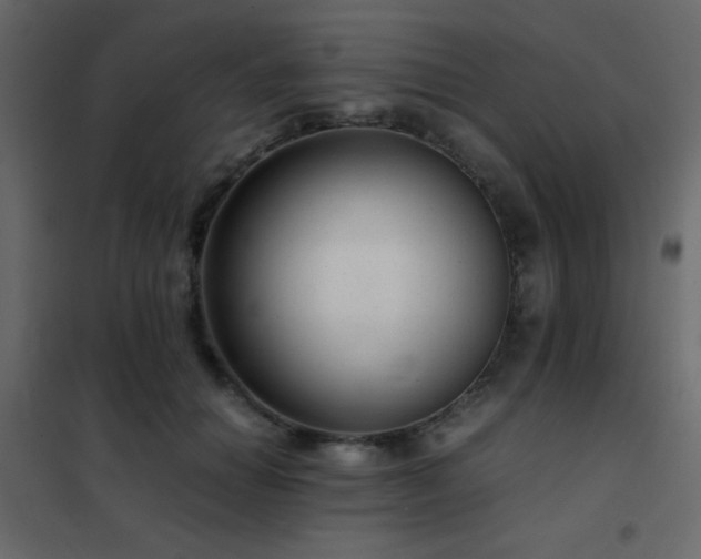 X0000102520654200808081428