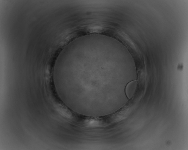 X0000102520655200808081428