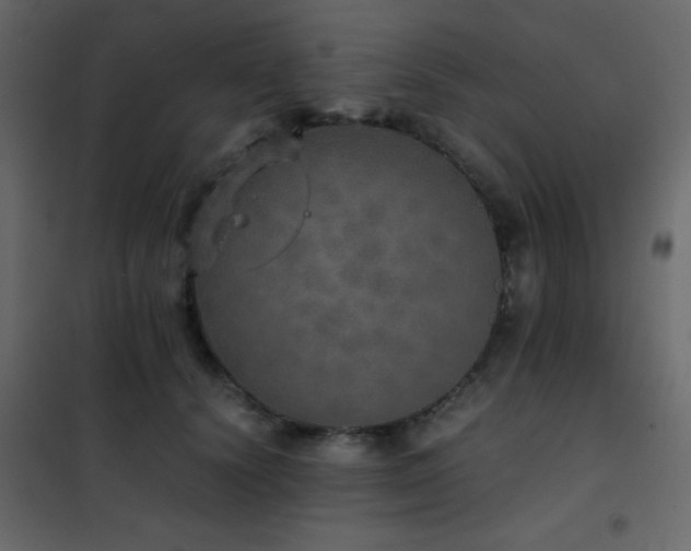 X0000102520656200808081428