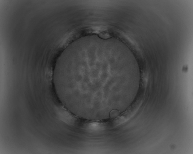 X0000102520657200808081428