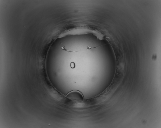 X0000102520658200808081428