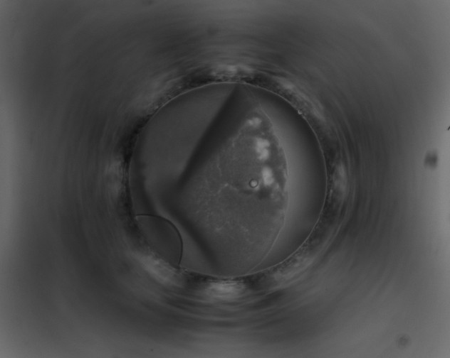 X0000102520659200808081428