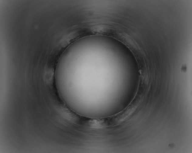 X0000102520660200808081429