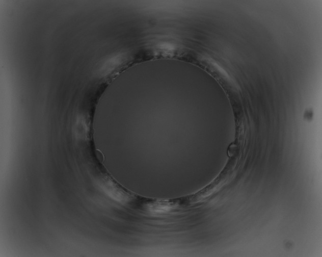 X0000102520661200808081429