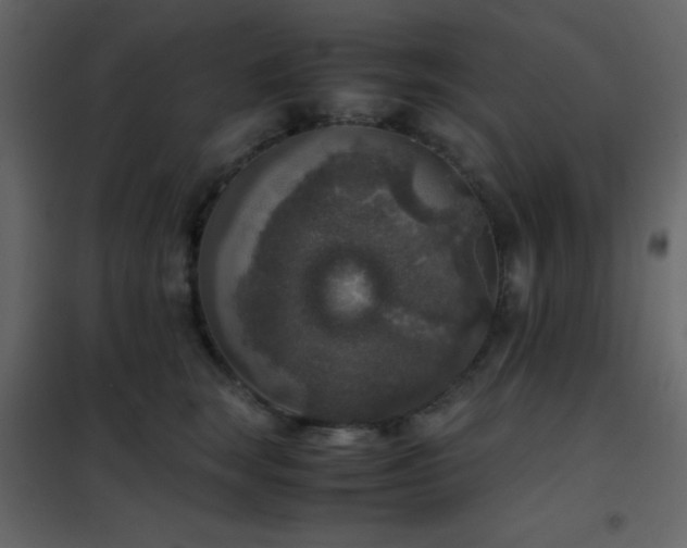 X0000102520663200808081429