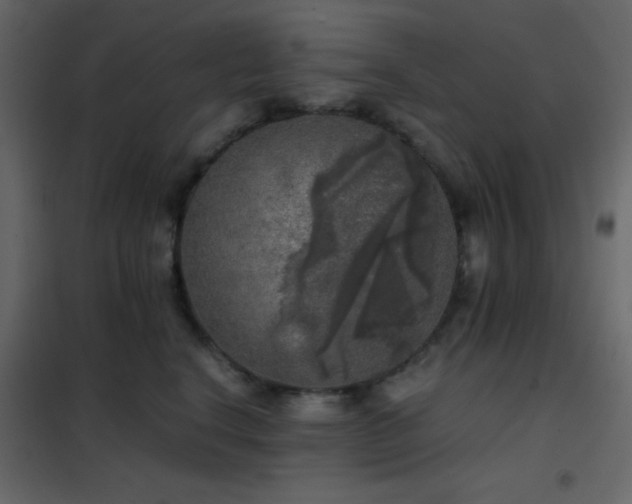 X0000102520664200808081429