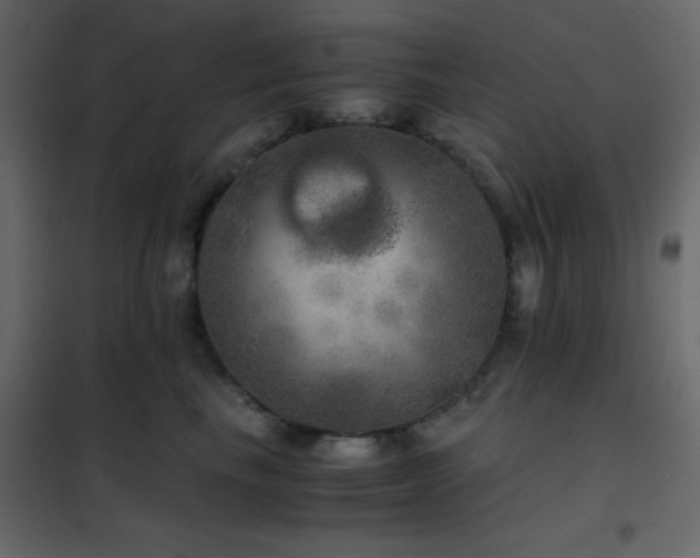 X0000102520665200808081429