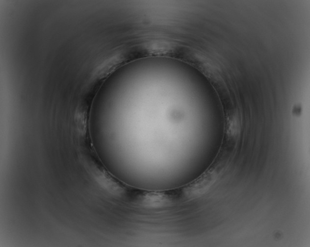 X0000102520666200808081429