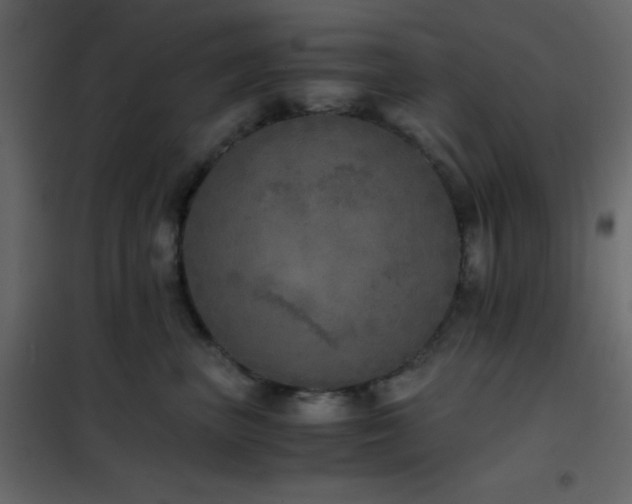 X0000102520667200808081429