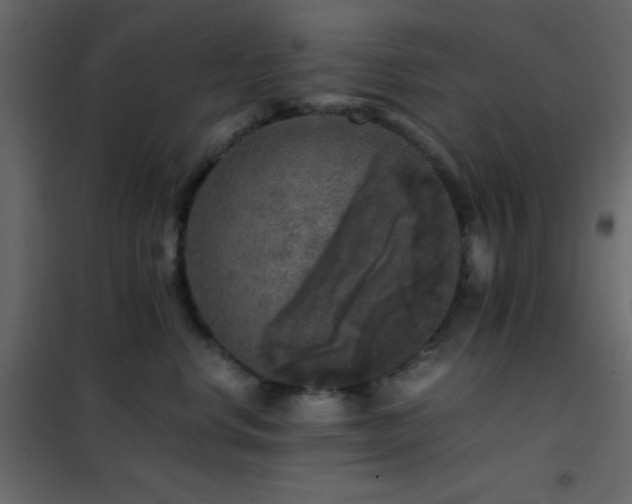 X0000102520668200808081429