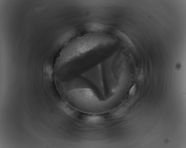 X0000102520669200808081429