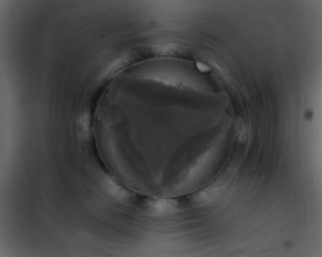 X0000102520670200808081429