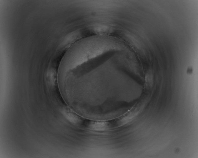 X0000102520671200808081429