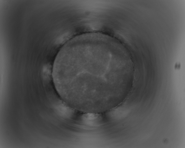 X0000102520672200808081429