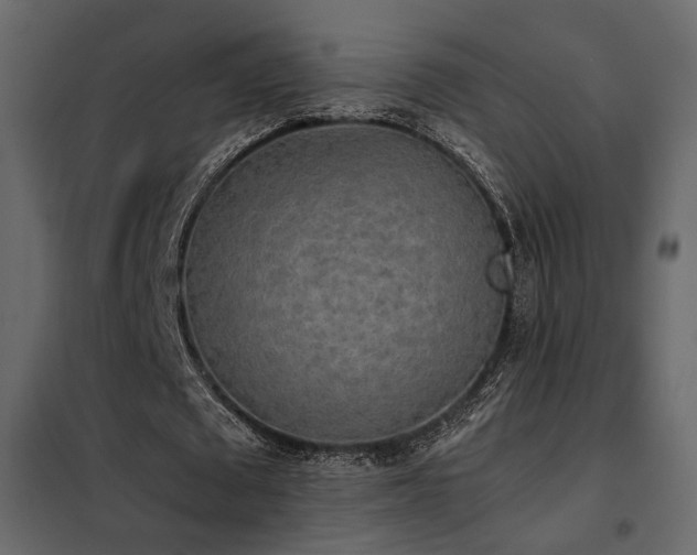 X0000102520673200808081428