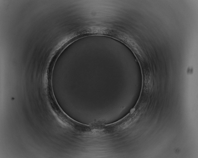 X0000102520674200808081428