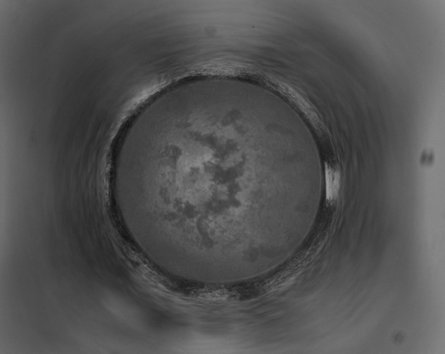 X0000102520675200808081428