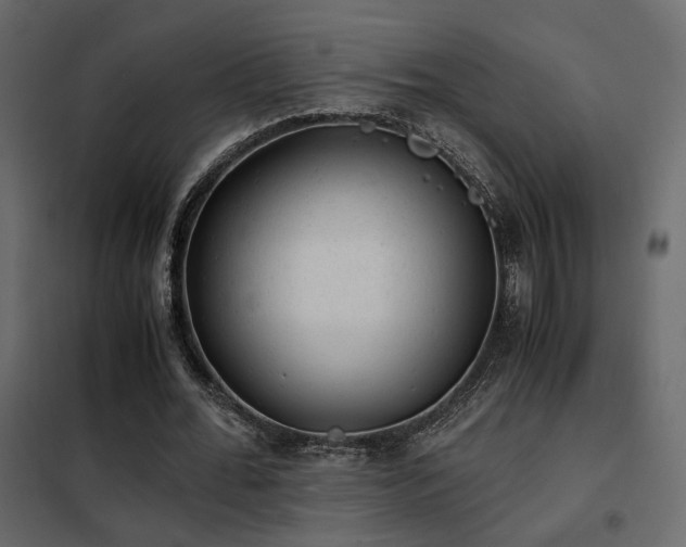 X0000102520676200808081428