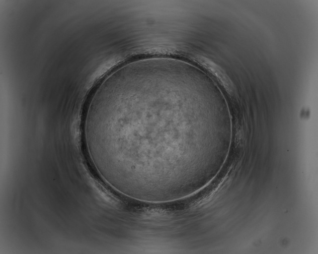 X0000102520677200808081428