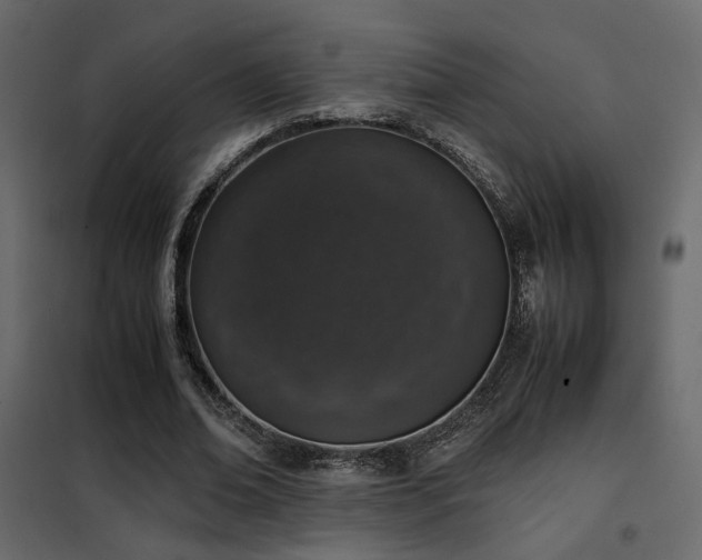 X0000102520678200808081428