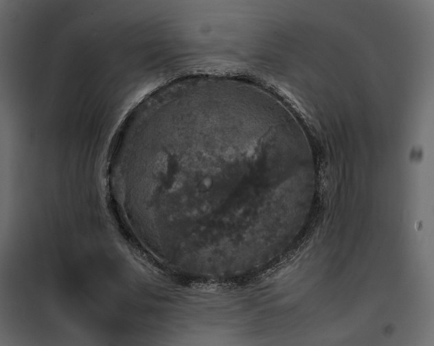 X0000102520679200808081428