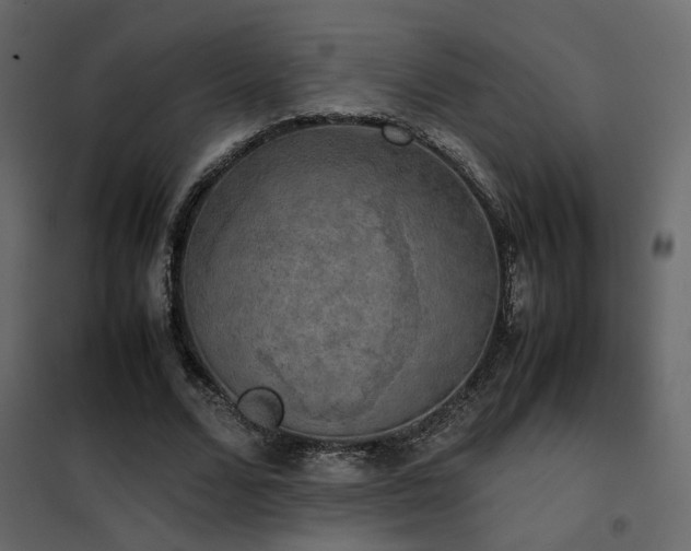 X0000102520680200808081428