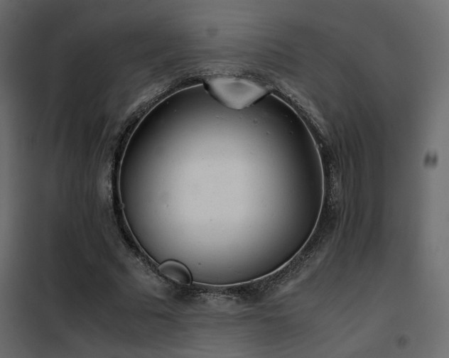 X0000102520681200808081428