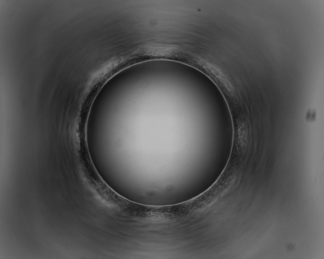 X0000102520682200808081428