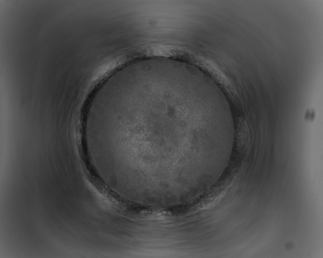 X0000102520683200808081428