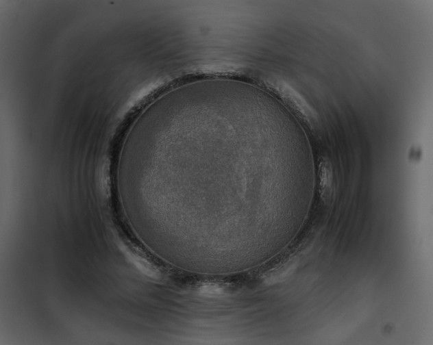 X0000102520684200808081428