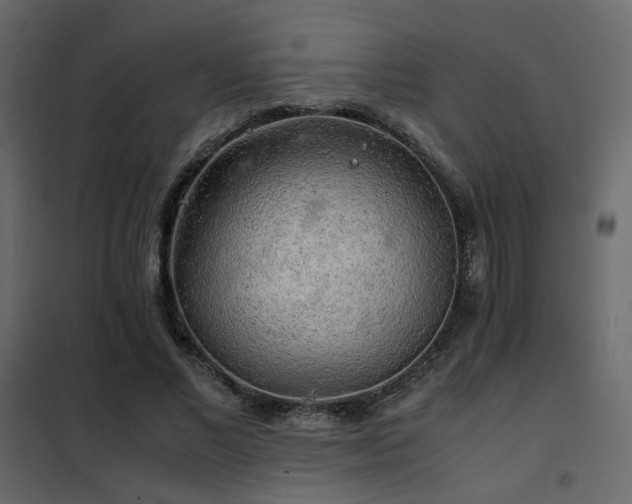 X0000102520685200808081428