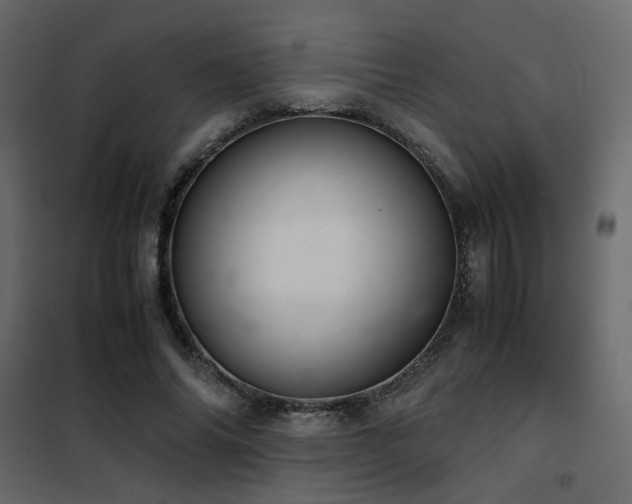 X0000102520686200808081428