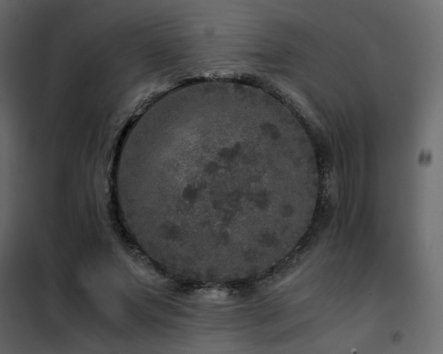 X0000102520687200808081428