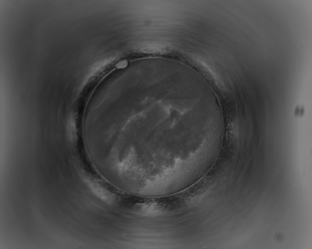 X0000102520688200808081428