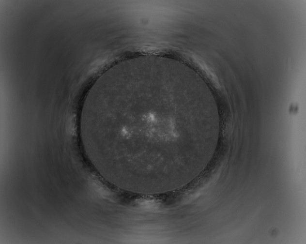 X0000102520689200808081428