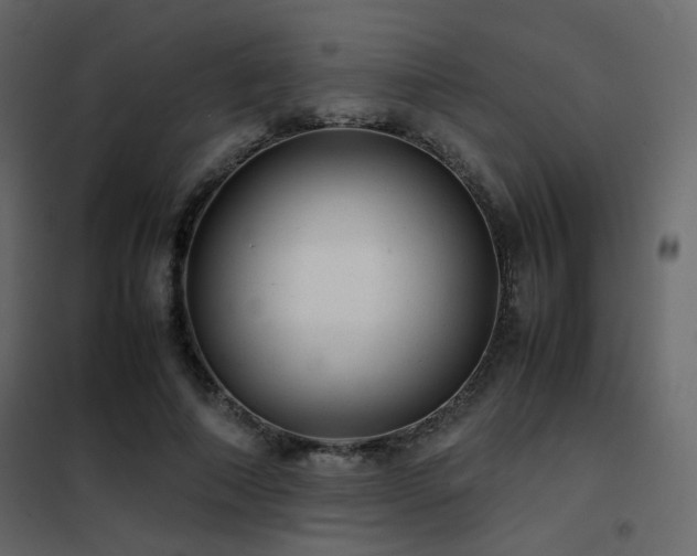 X0000102520690200808081428