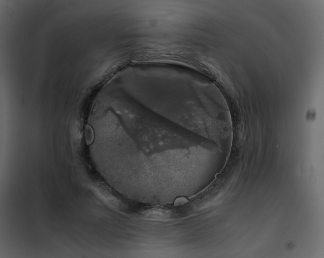 X0000102520691200808081428