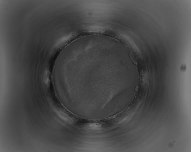 X0000102520692200808081428